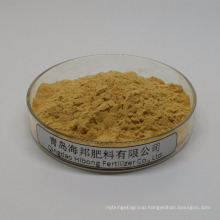 Chitin Chitosan Oligosaccharide